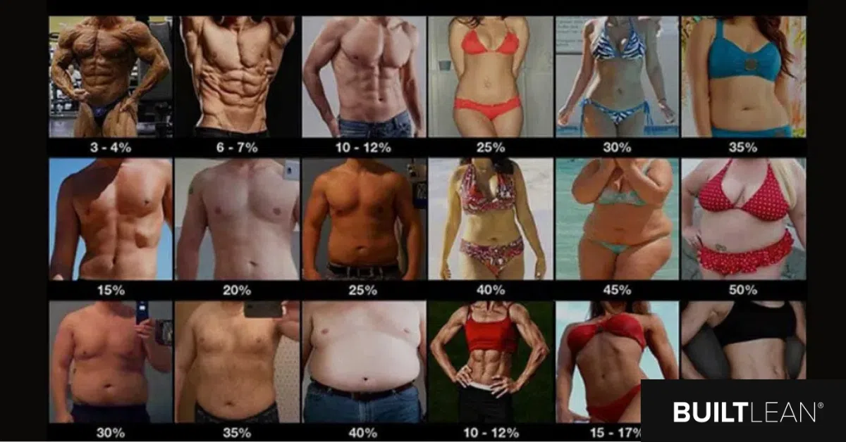 Body Fat Percentage Reference (Men & Women)